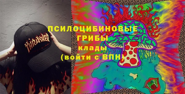 амф Алексин