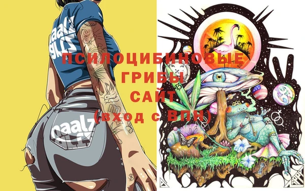 кокаин Алексеевка