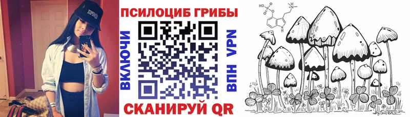 где найти   Павловская  Псилоцибиновые грибы прущие грибы 